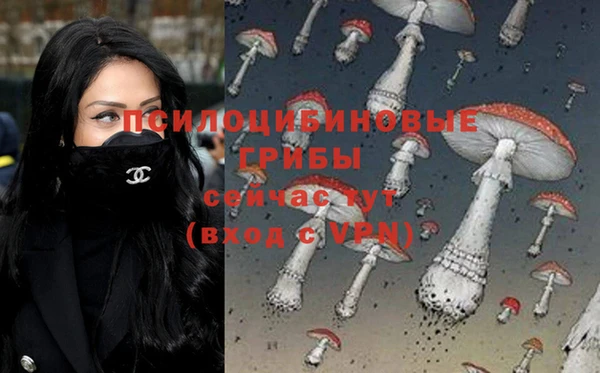 гашиш Приозерск