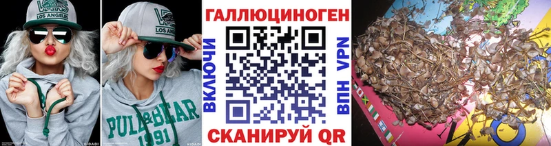 Галлюциногенные грибы прущие грибы  Купить где  Ясный 